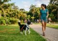Antes de soltar o cachorro no parque, adestradores recomendam uma etapa que muitos tutores acabam ignorando