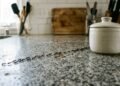 Como espantar formigas em casa usando ingredientes naturais e sem sujeira