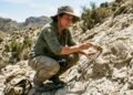 Surpresa na ciência espanhola: recife de coral fossilizado em Almería revela quando o Mediterrâneo quase secou