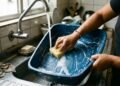 Pare de lavar a caixa de areia deste jeito: o cheiro pode fazer seu gato procurar outro lugar