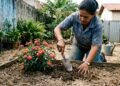 A planta que da vida a casas sem graça: floresce o ano todo, atrai borboletas e quase não precisa de água