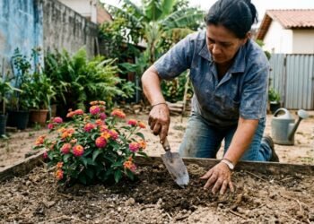 A planta que da vida a casas sem graça: floresce o ano todo, atrai borboletas e quase não precisa de água