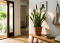 Onde colocar a planta-cobra em agosto para atrair abundância e melhorar a energia da sua casa, de acordo com o Feng Shui