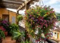 Nem espada-de-são-jorge nem jasmim: a planta elegante que cresce em vaso e não requer cuidados de jardinagem