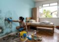 Adeus às manchas escuras: o método prático que limpa a parede e impede o retorno do mofo