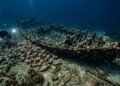 Uma estrutura coberta de conchas chamou atenção e revelou navio romano de 2 mil anos na Sicília