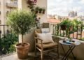 Estas 3 árvores são as favoritas dos jardineiros para cultivar em vasos pequenos dentro de casa