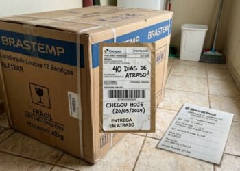 Consumidor paga R$ 3.800 via Pix por eletrodoméstico que não chega e o suporte ao cliente apenas envia respostas automáticas; o comprador aciona o PROCON exigindo o cancelamento da compra e a restituição imediata do valor pago corrigido com base no Artigo 35 do CDC