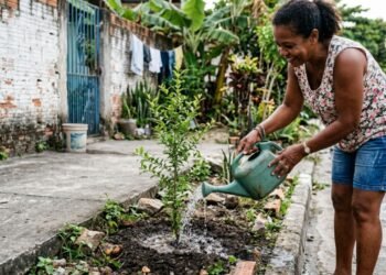 A árvore perfeita para o quintal: não quebra o piso, dá frutos no verão e aguenta meses de seca