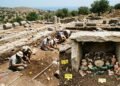 Arqueólogos descobrem centenas de esqueletos de ratos em Creta e revelam a estranha relação dos gregos com as pragas