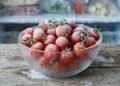 Como congelar tomates cereja sem virar um bloco de gelo