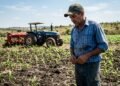 Agricultor compra semeadora de segunda mão por R$ 38 mil para a safra de milho, descobre no meio do plantio que a falha nos discos distribuidores gerou falhas de 40% na densidade de sementes por metro