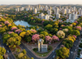 Entre milhares de ipês e mais de 1 milhão de árvores, uma cidade brasileira recebeu da ONU o título de “Cidade Árvore do Mundo” e virou destaque internacional