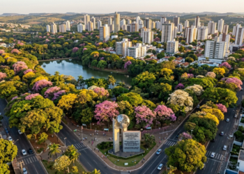 Entre milhares de ipês e mais de 1 milhão de árvores, uma cidade brasileira recebeu da ONU o título de “Cidade Árvore do Mundo” e virou destaque internacional