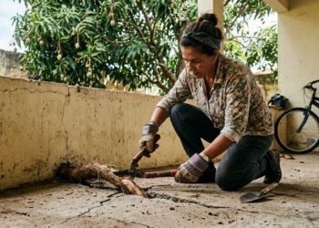 Árvore frutífera do quintal do vizinho cresce, os galhos ultrapassam o muro divisório e as raízes começam a rachar o piso da garagem; morador corta a parte invasora por conta própria e descobre que o artigo 1.283 do Código Civil autoriza a poda sem necessidade de aviso prévio