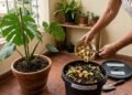 Antes de jogar restos da cozinha no vaso, veja como casca de banana, ovo, café e água de cozimento podem ser reaproveitados