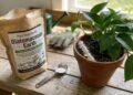 Sem bicarbonato de sódio nem açúcar: o pó branco mágico recomendado por jardineiros contra pragas e como fertilizante