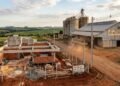 construção ao lado de fazenda