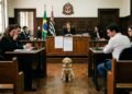 Casal se divorcia, trava disputa judicial por cachorro de estimação e Justiça estabelece guarda compartilhada com regime de visitas do animal