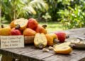 A fruta brasileira que tem muita vitamina C, ajuda o intestino e ainda pode melhorar o aproveitamento do ferro dos alimentos