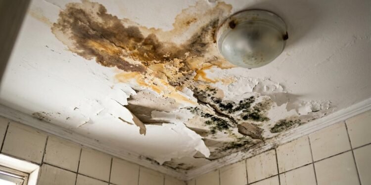 vazamento em apartamento