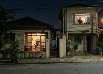 Cachorro late quase todas as noites entre 2h e 5h, vizinho grava 18 dias seguidos e proprietário afirma que animal está dentro da própria casa; regras de sossego podem ir além do condomínio