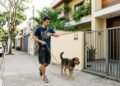 cuidador de cão