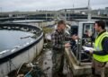 Piscicultor perde milhares de peixes durante uma madrugada após sistema de oxigenação dos tanques parar de funcionar e começa discussão sobre defeito no equipamento instalado meses antes