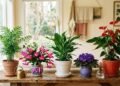 5 plantas que não precisam de sol forte para florescer e são ótimas opções para ambientes internos