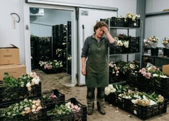 Produtor de flores prepara encomenda para casamento com mais de 2 mil unidades e perde parte da produção após câmara refrigerada parar de funcionar na véspera da entrega