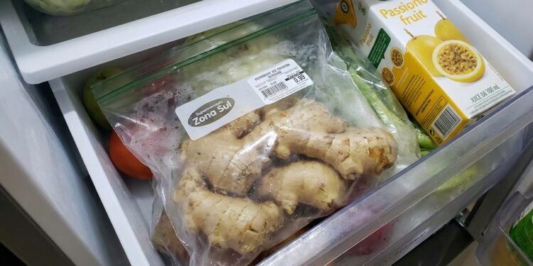 O detalhe é que, se você comprou uma quantidade grande na feira, o refrigerador comum não vai dar conta por muito tempo.