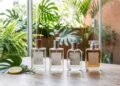 Quatro perfumes unissex brasileiros que conseguem ser frescos, marcantes e elegantes ao mesmo tempo