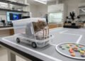 Ratos dirigindo transformam um experimento curioso em uma janela para estudar a aprendizagem