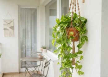 Plantas suspensas aproveitam cantos pequenos sem ocupar espaço no chão: especialistas em jardinagem explicam o motivo do sucesso da técnica.
