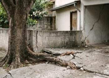 Vizinho planta árvore junto ao muro e, anos depois, raízes levantam o piso da garagem ao lado e provocam rachaduras na estrutura.