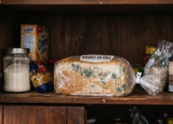 O pão embolorava rápido, mesmo guardado dentro do armário: a embalagem e o ambiente podiam estar ajudando o problema
