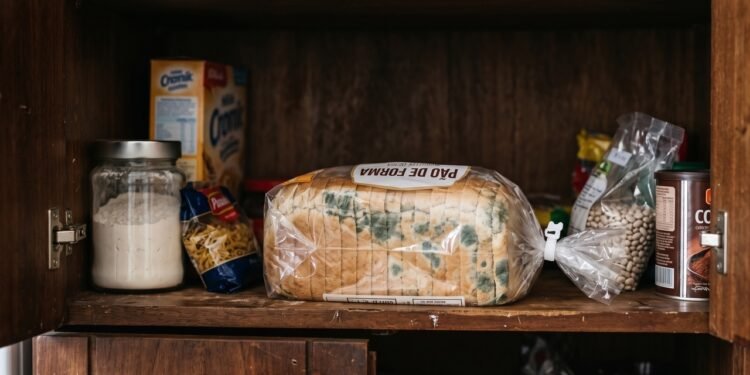 O pão embolorava rápido, mesmo guardado dentro do armário: a embalagem e o ambiente podiam estar ajudando o problema