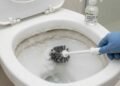 Vinagre realmente funciona como limpador de vaso sanitário? Especialistas explicam