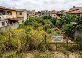Comprador arremata lote em leilão judicial por R$ 210 mil, descobre ausência de vias de acesso abertas na gleba e obtém anulação do negócio