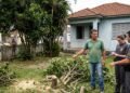 Dono entra sozinho em casa alugada durante ausência do morador, corta árvores do quintal e responde por violação de domicílio