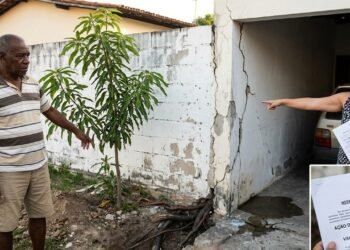 Aposentado planta mangueira a menos de 50 centímetros do muro, raízes rompem tubulação e danificam garagem do vizinho, que cobra R$ 9.500