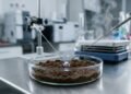 A descoberta biológica que surpreendeu a ciência: a enzima de bactérias do solo que gera eletricidade a partir do ar e suporta até 80 °C