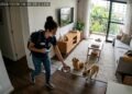 cuidadora de gatos