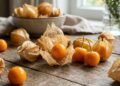 A fruta alaranjada que concentra vitamina C e carotenoides também fornece fibras e pode enriquecer a alimentação sem promessas milagrosas