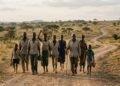 O que ensina o provérbio africano: “Se quer ir rápido, vá sozinho; se quer ir longe, vá acompanhado.”