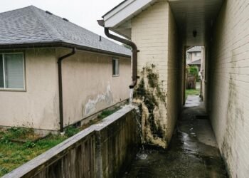 Proprietário aumenta telhado até a divisa, instala calha e direciona saída de água para corredor lateral da casa ao lado; meses depois surgem infiltração e mofo em dois quartos e vizinho cobra reforma completa