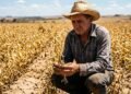 Produtor rural adquire lote de fertilizantes adulterados para lavoura de soja, perde metade da safra e obtém ressarcimento integral na Justiça