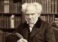 “Tentei ajudar um amigo em crise e terminei a amizade”: o ‘dilema do porco-espinho’ de Schopenhauer nas relações modernas