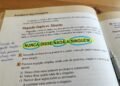 “Eu nunca disse nada a ninguém” tem 3 negativas — por que uma não cancela a outra?