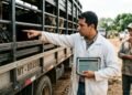 Pecuarista adquire cavalos de raça por R$ 120 mil, empresa de transporte falha no manejo durante trajeto e comprador exige ressarcimento após óbitos